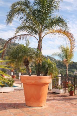 Villa El Nido Nerja Kültér fotó
