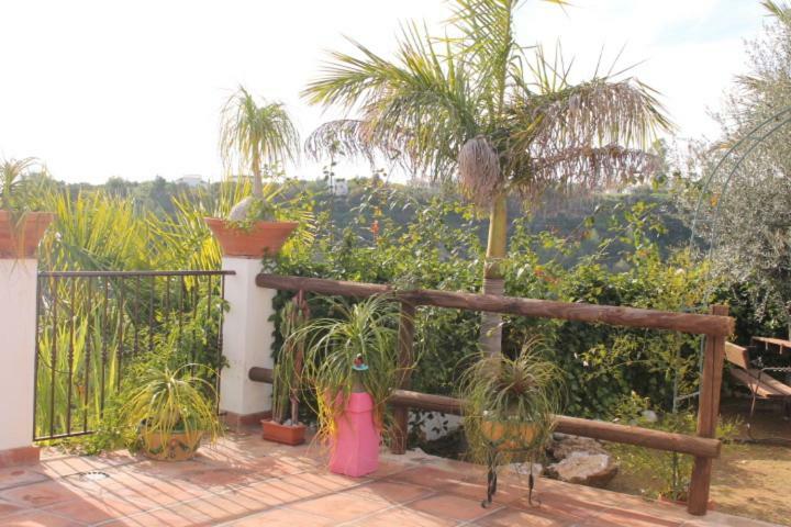 Villa El Nido Nerja Kültér fotó